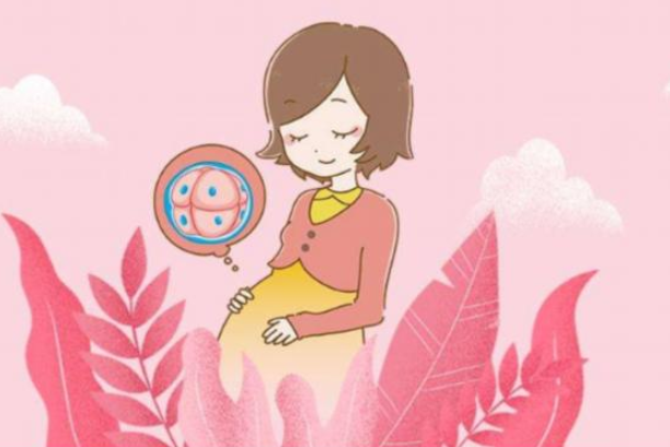 泰國試管嬰兒費用是多少？泰國試管嬰兒成功率高嗎？